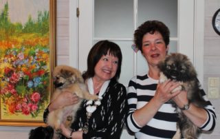 Tibbehaugen in Tromsø